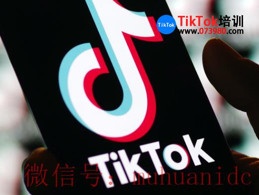 tiktok账号购买平台