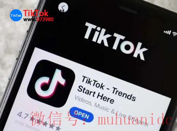 tiktok账号购买平台