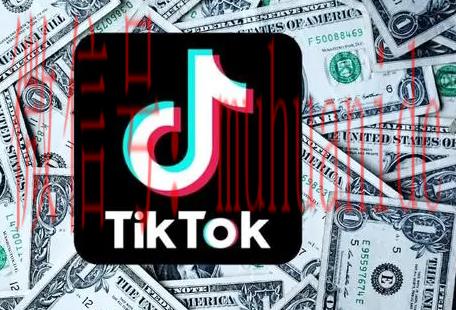 tiktok账号购买平台