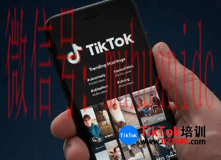 tiktok账号购买平台