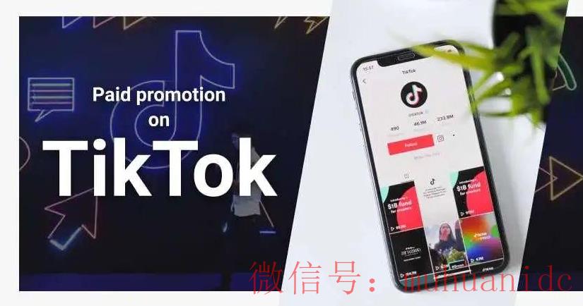tiktok账号购买平台