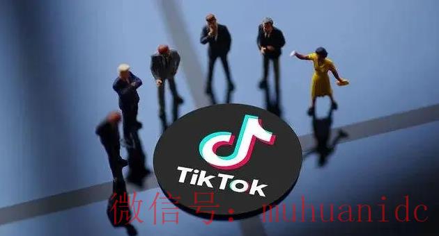 tiktok账号购买平台