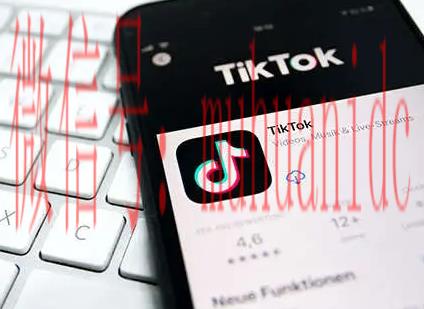 tiktok账号购买平台