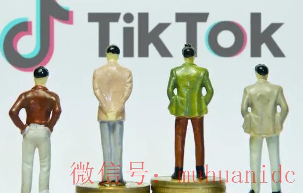 tiktok账号购买平台