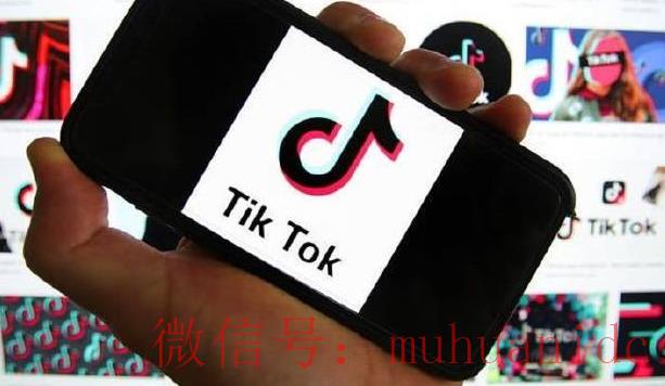 tiktok账号购买平台