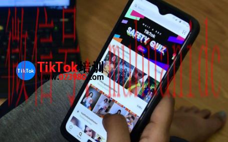 tiktok账号购买平台