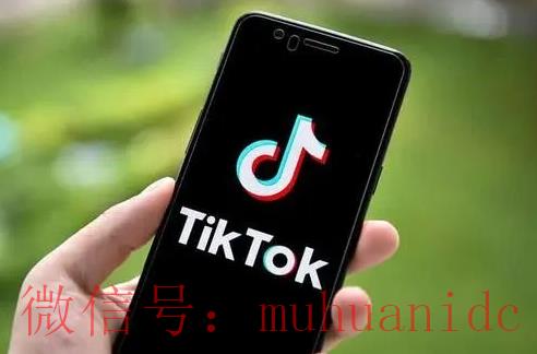tiktok账号购买平台