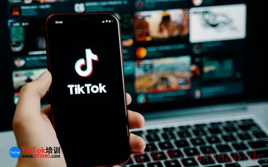 tiktok账号购买平台