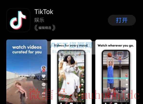 tiktok账号购买平台