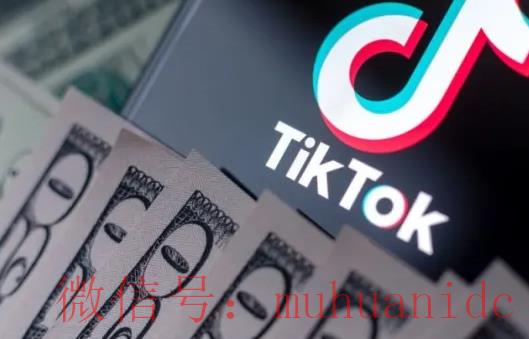tiktok账号购买平台