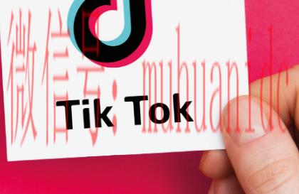 tiktok账号购买平台