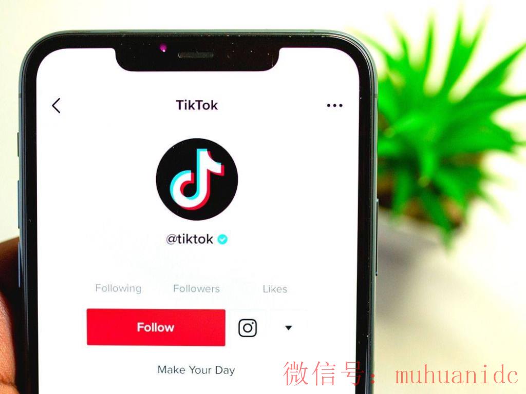 tiktok账号购买平台