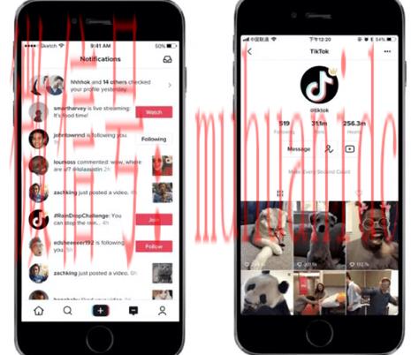 tiktok账号购买平台