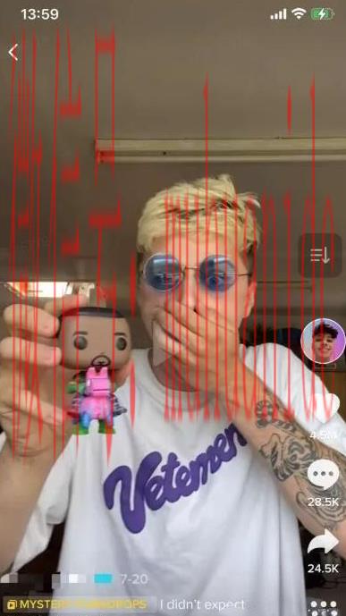 tiktok账号购买平台