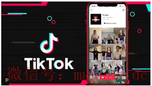 tiktok账号购买平台