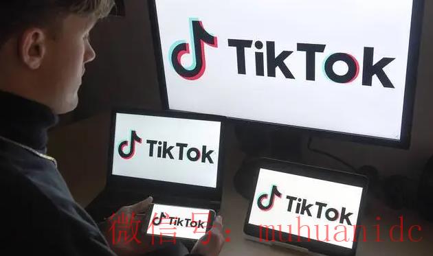 tiktok账号购买平台