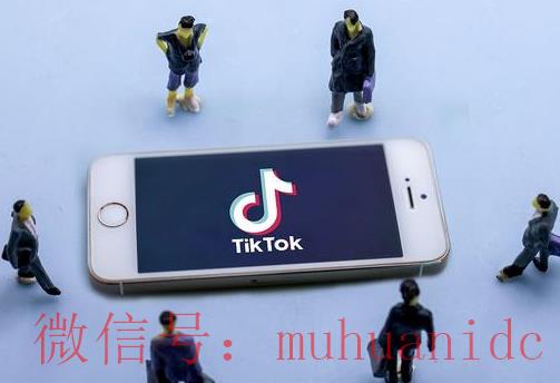 tiktok账号购买平台