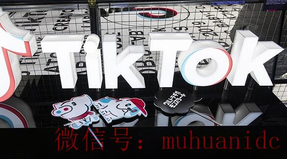 tiktok账号购买平台