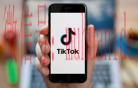 tiktok账号购买平台