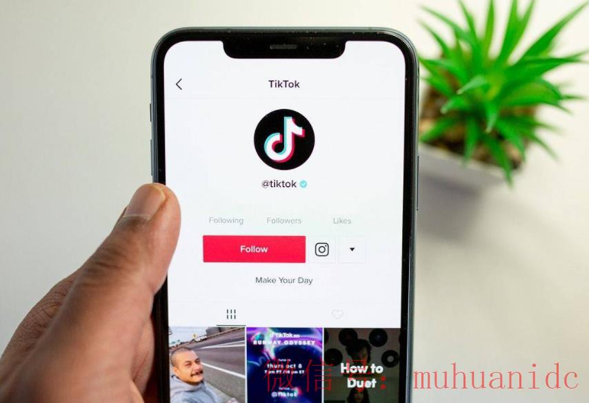 tiktok账号购买平台