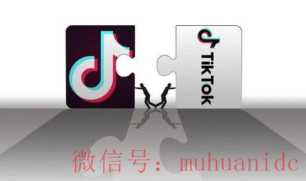 tiktok账号购买平台