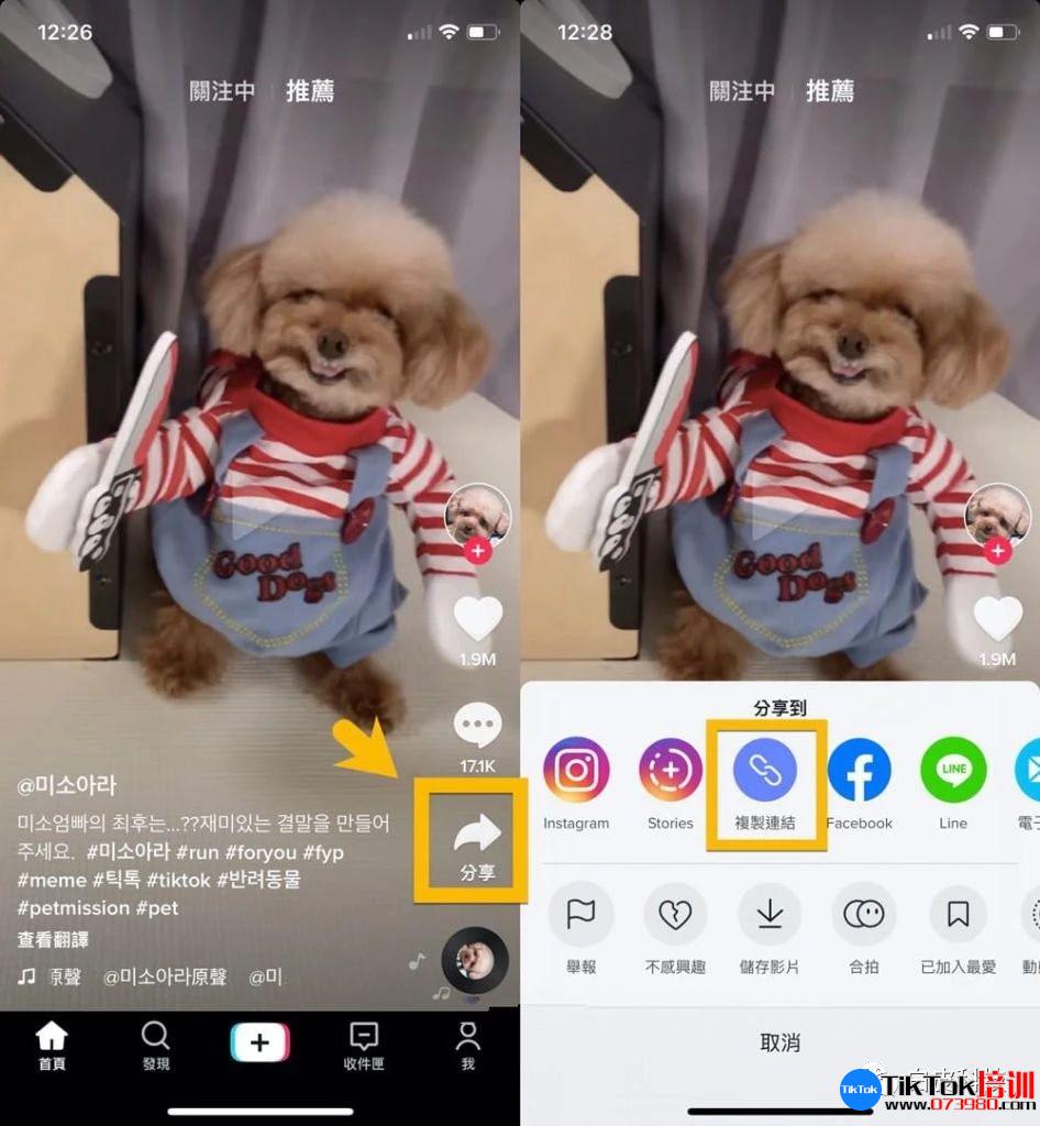 tiktok账号购买平台