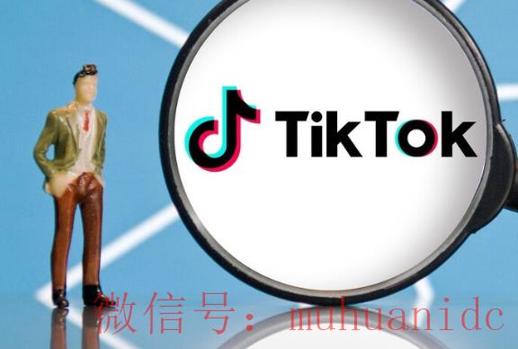tiktok账号购买平台