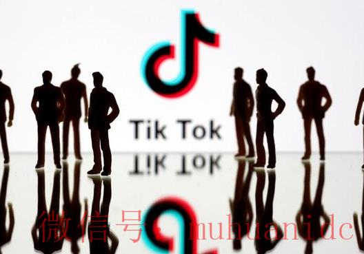 tiktok账号购买平台