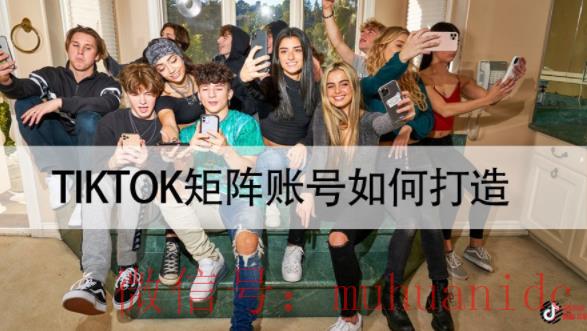 tiktok账号购买平台