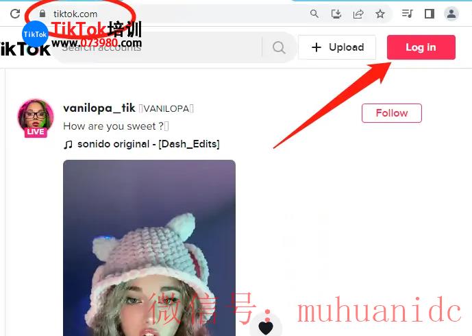 tiktok账号购买平台