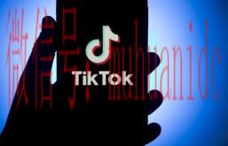 tiktok账号购买平台