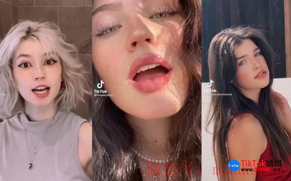 tiktok账号购买平台