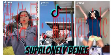 tiktok账号购买平台