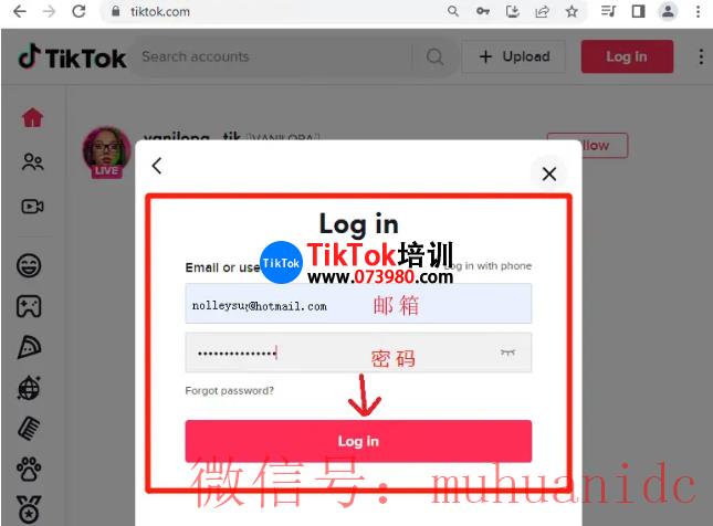 tiktok账号购买平台