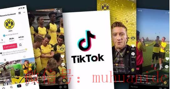 tiktok账号购买平台