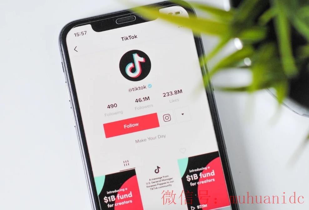 tiktok账号购买平台