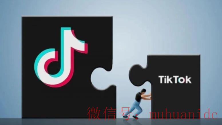 tiktok账号购买平台