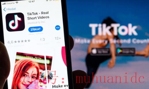 tiktok账号购买平台