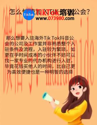 tiktok账号购买平台