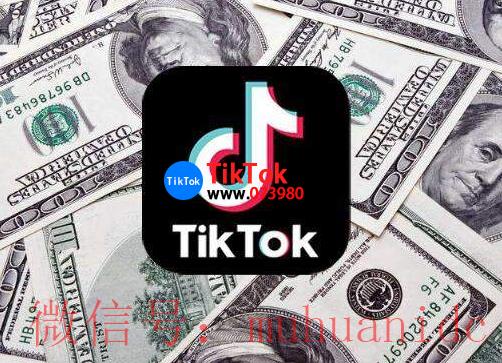 tiktok账号购买平台