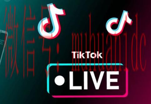 tiktok账号购买平台