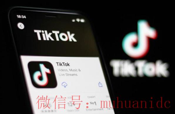 tiktok账号购买平台