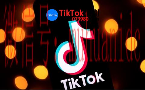 tiktok账号购买平台