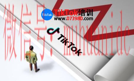 tiktok账号购买平台