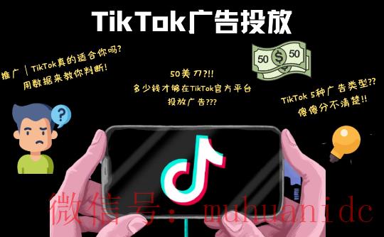 tiktok账号购买平台