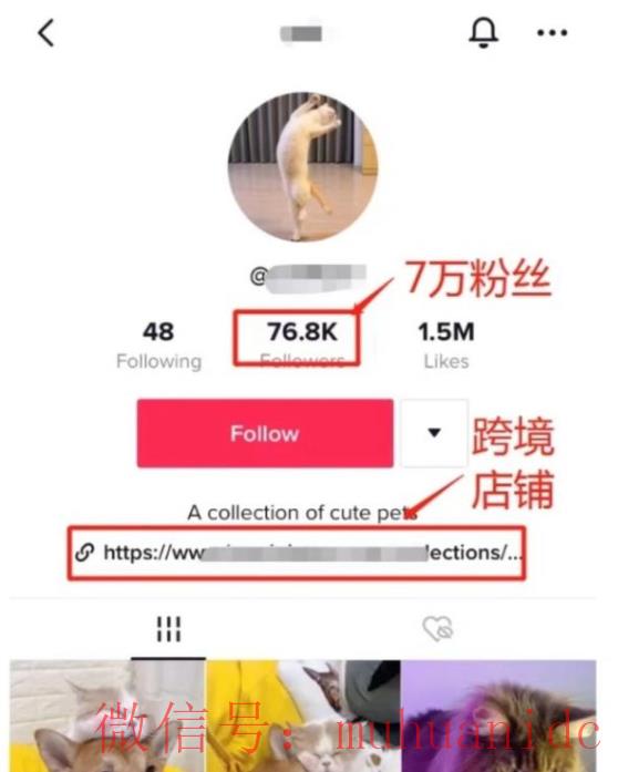 tiktok账号购买平台