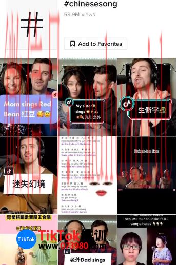 tiktok账号购买平台