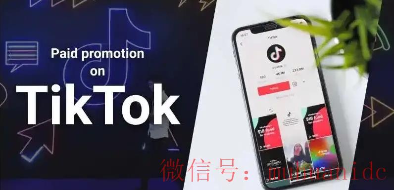 tiktok账号购买平台