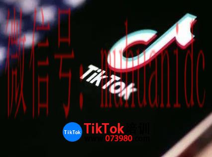 tiktok账号购买平台