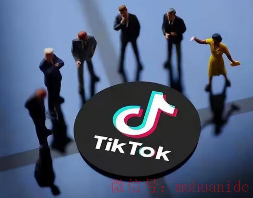 tiktok账号购买平台